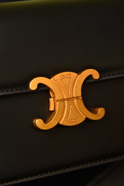 CLN- Classique Triomphe Bag in Shiny